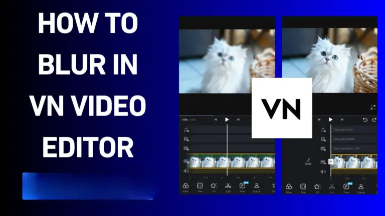 "How To Blur Video In VN Video Editor